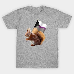 A Red Squirrel with a Demisexual Pride Flag. T-Shirt